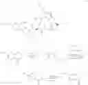 Fig. 202 - MACROCYCLIC BROAD SPECTRUM ANTIBIOTICS