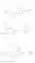 Fig. 203 - MACROCYCLIC BROAD SPECTRUM ANTIBIOTICS