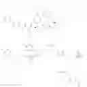 Fig. 208 - MACROCYCLIC BROAD SPECTRUM ANTIBIOTICS