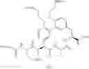 Fig. 211 - MACROCYCLIC BROAD SPECTRUM ANTIBIOTICS