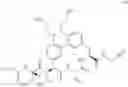 Fig. 231 - MACROCYCLIC BROAD SPECTRUM ANTIBIOTICS