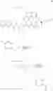 Fig. 273 - MACROCYCLIC BROAD SPECTRUM ANTIBIOTICS