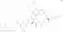 Fig. 440 - MACROCYCLIC BROAD SPECTRUM ANTIBIOTICS