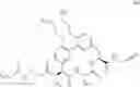 Fig. 446 - MACROCYCLIC BROAD SPECTRUM ANTIBIOTICS