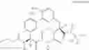 Fig. 57 - MACROCYCLIC BROAD SPECTRUM ANTIBIOTICS