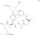 Fig. 69 - MACROCYCLIC BROAD SPECTRUM ANTIBIOTICS