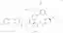 Fig. 89 - MACROCYCLIC BROAD SPECTRUM ANTIBIOTICS