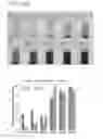 Fig. 14 - Aromatic surfactants
