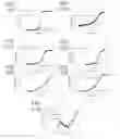 Fig. 35 - Aromatic surfactants