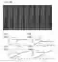 Fig. 41 - Aromatic surfactants