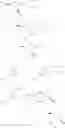 Fig. 49 - Compound useful for manufacturing salacinol, method for manufacturing the compound, method for manufacturing salacinol, methods for protecting and deprotecting diol group, and protective agent for diol group