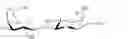 Fig. 07 - 1,1 ′-sulfanediyl-di-beta-D-galactopyranosides as inhibitors of galectins