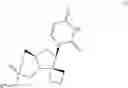 Fig. 03 - URACYL SPIROOXETANE NUCLEOSIDES