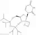 Fig. 12 - URACYL SPIROOXETANE NUCLEOSIDES