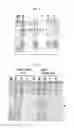 Fig. 06 - Purification method, purification kit, and silicon oxide-binding tag for use therein