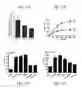 Fig. 33 - Compositions and methods to prevent cancer by stabilizing p53 through non MDM2-mediated pathways