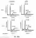Fig. 40 - Compositions and methods to prevent cancer by stabilizing p53 through non MDM2-mediated pathways