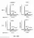 Fig. 41 - Compositions and methods to prevent cancer by stabilizing p53 through non MDM2-mediated pathways