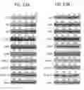 Fig. 46 - Compositions and methods to prevent cancer by stabilizing p53 through non MDM2-mediated pathways