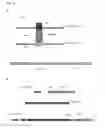 Fig. 04 - COMPOSITIONS AND METHODS FOR CONTROL OF VECTOR-BORNE DISEASE