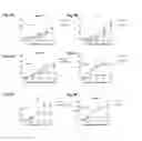Fig. 07 - Peptides