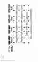 Fig. 02 - METHODS AND COMPOSITIONS FOR THE TREATMENT OF HCMV