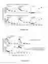 Fig. 10 - METHODS AND COMPOSITIONS FOR THE TREATMENT OF HCMV