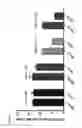 Fig. 40 - METHODS AND COMPOSITIONS FOR THE TREATMENT OF HCMV
