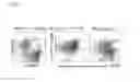 Fig. 04 - RSV-specific binding molecules and means for producing them
