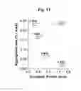 Fig. 12 - Thymic stromal lymphopoietin (TSLP)-binding molecules and methods of using the molecules