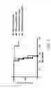 Fig. 09 - Immunomodulatory antibodies