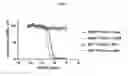 Fig. 08 - MSLN targeting trispecific proteins and methods of use