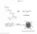 Fig. 02 - Biocompatible nanoparticle and use thereof