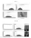 Fig. 12 - Biocompatible nanoparticle and use thereof