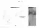 Fig. 18 - Biocompatible nanoparticle and use thereof