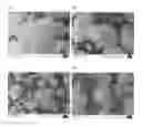 Fig. 01 - Method for the production of granules comprising surface-reacted calcium carbonate