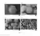 Fig. 03 - Method for the production of granules comprising surface-reacted calcium carbonate