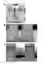 Fig. 02 - Surfactant adhesive composition