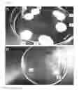 Fig. 03 - Surfactant adhesive composition