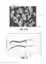 Fig. 09 - Shaped abrasive particles and methods of forming same