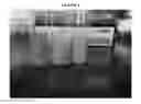 Fig. 02 - SILICONE COPOLYMERS AS EMULSIFICATION ADDITIVES FOR QUANTUM DOT RESIN PREMIX