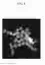 Fig. 09 - Semiconductor nanocrystal particles and devices including the same
