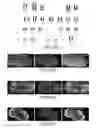 Fig. 45 - LARGE SCALE CELL MANUFACTURE SYSTEM