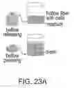 Fig. 49 - LARGE SCALE CELL MANUFACTURE SYSTEM