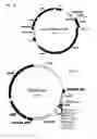 Fig. 08 - Gas Stirring Fermentation Device
