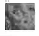 Fig. 13 - Methods and products for transfection