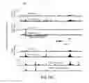 Fig. 35 - METHODS OF CONTROLLING CELL FATE AND CONSEQUENCES FOR DISEASE