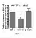 Fig. 05 - siRNA compositions that specifically downregulate expression of a variant of the PNPLA3 gene and methods of use thereof for treating a chronic liver disease or alcoholic liver disease (ALD)