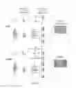 Fig. 11 - siRNA compositions that specifically downregulate expression of a variant of the PNPLA3 gene and methods of use thereof for treating a chronic liver disease or alcoholic liver disease (ALD)