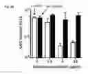 Fig. 06 - Methods and compositions for modulating AAV infection